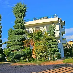 A-vila Pensión